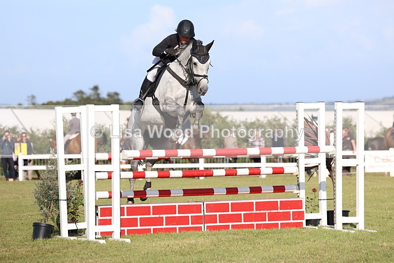 3E7A4472 - Class C: Showjumping Senior Foxhunter