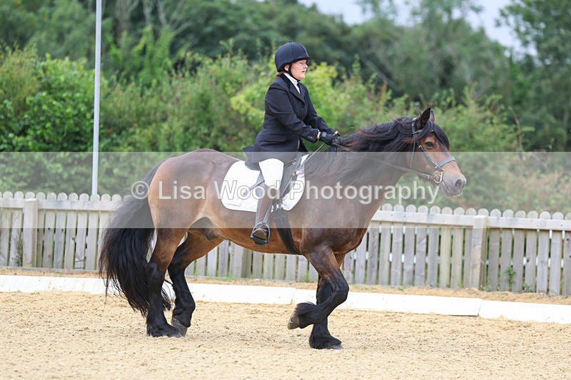 3E7A4707 - Class 1: Intro 4 2024 section A