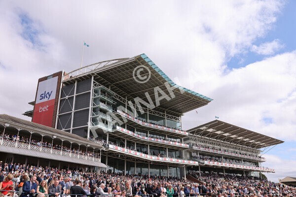 yr17082022r3-14 - Race 3 3.00pm Sky Bet Great Voltigeur Stakes