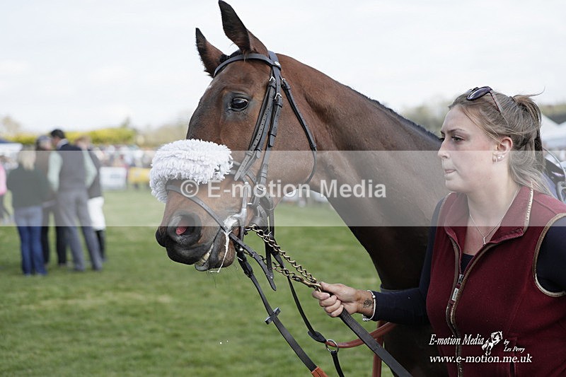 PtP 080423 458 - Dingley Races The Woodland Pytchley Hunt PtP 08/04/23