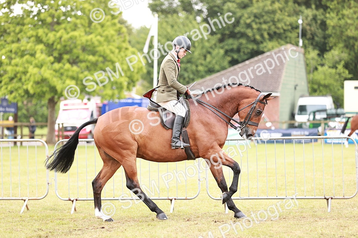SBM_10761 - Class 81-84 - RIHS Ridden hunters Inc Ladies Hunter
