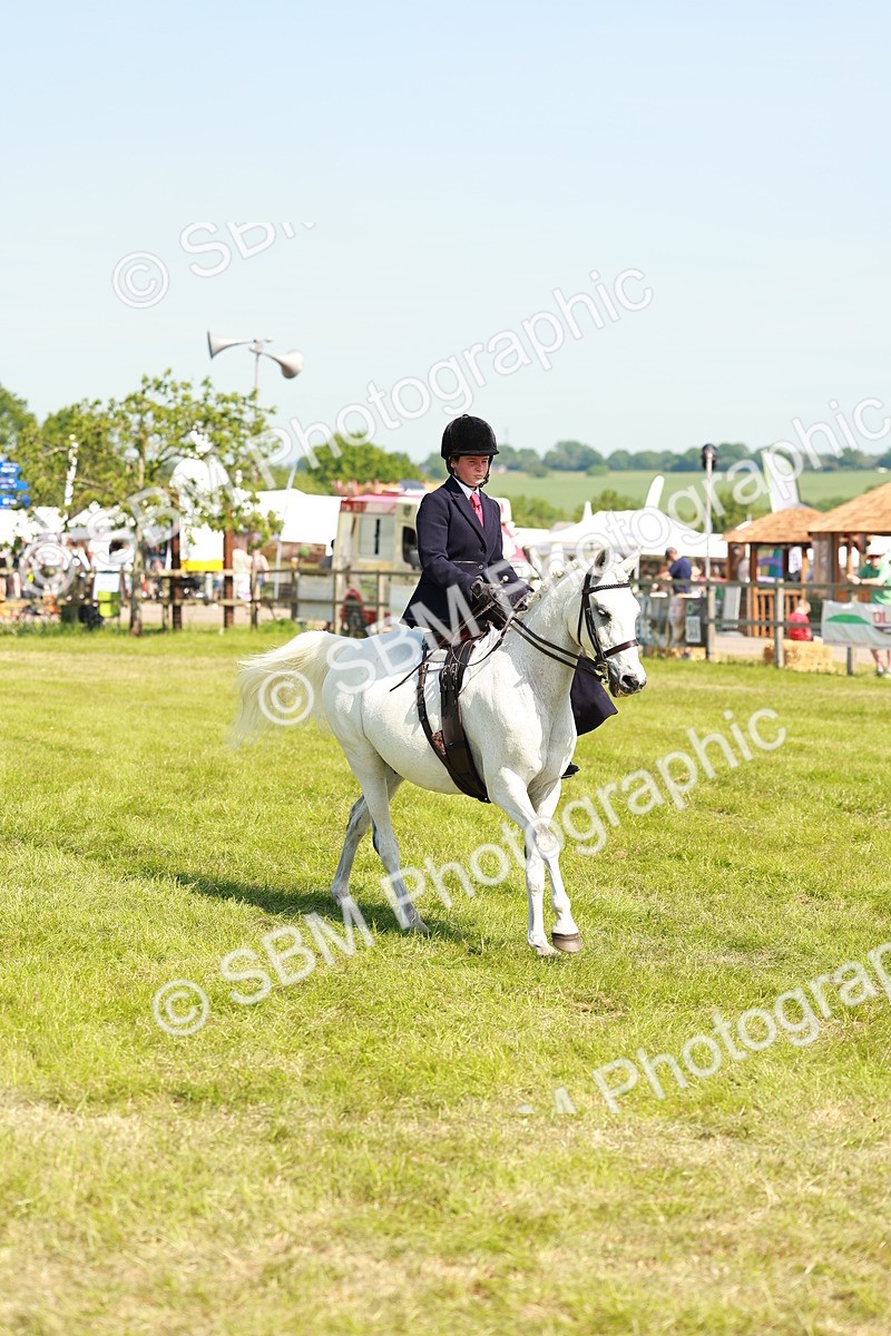SBM_13357 - Class 70-71 - Side Saddle