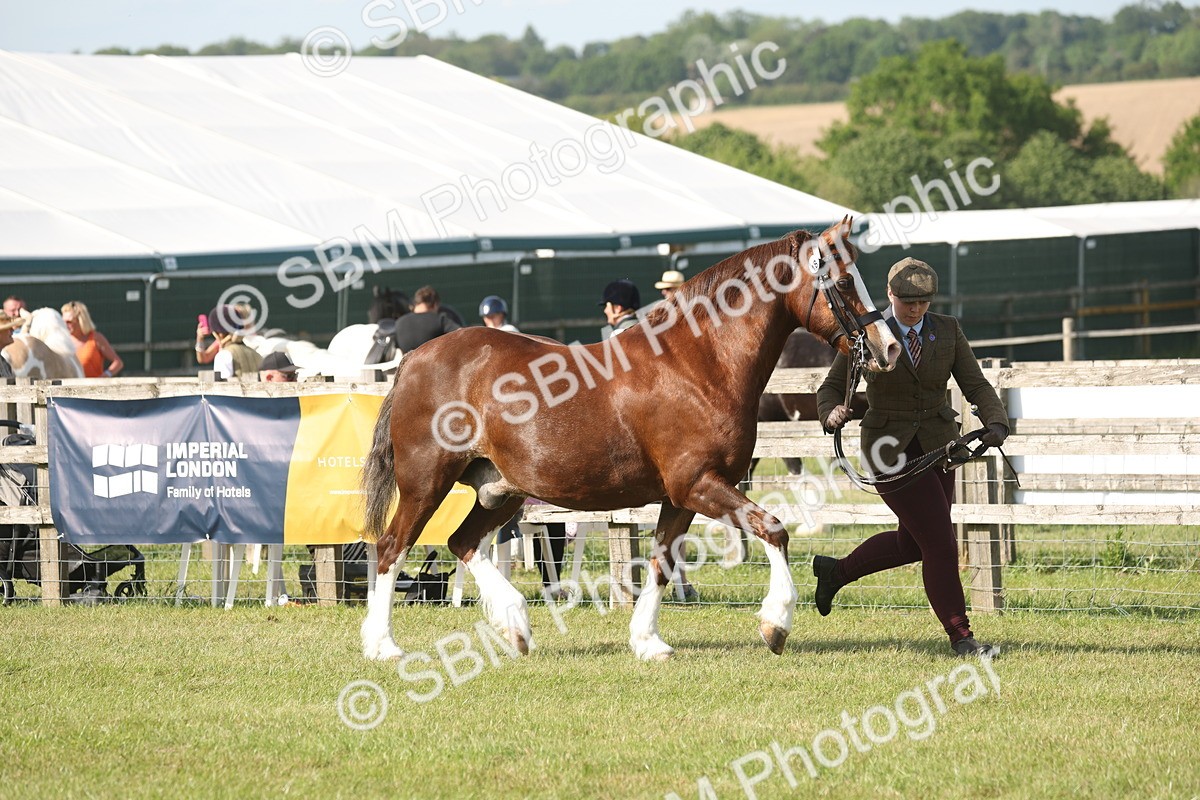SBM_10297 - Class 33-38 - SSADL RIHS Qualifiers
