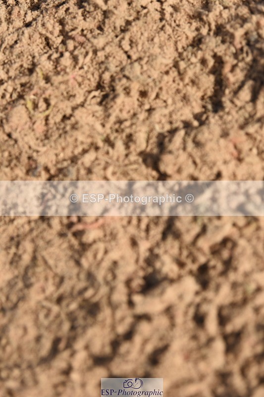 230906A-101604-00046 - British Novice & 90cm Open