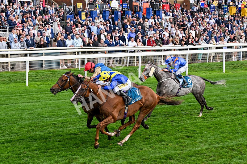 210826-Race 5-Plage De Havre-0320 - Race 5 16.10pm Assured Data Protection Handicap