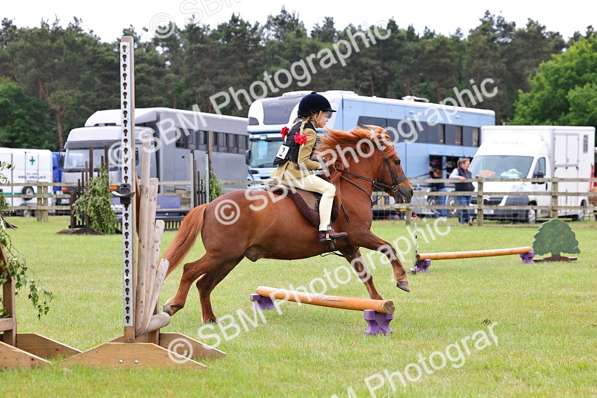 SBM_08642 - Class 42-43 - LIHS BSPS Heritage Working Sports Pony