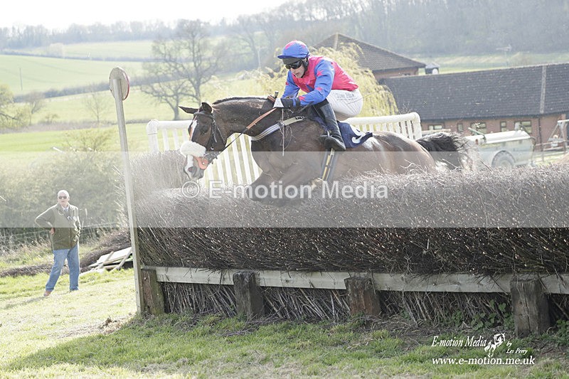 PtP 080423 809 - Dingley Races The Woodland Pytchley Hunt PtP 08/04/23