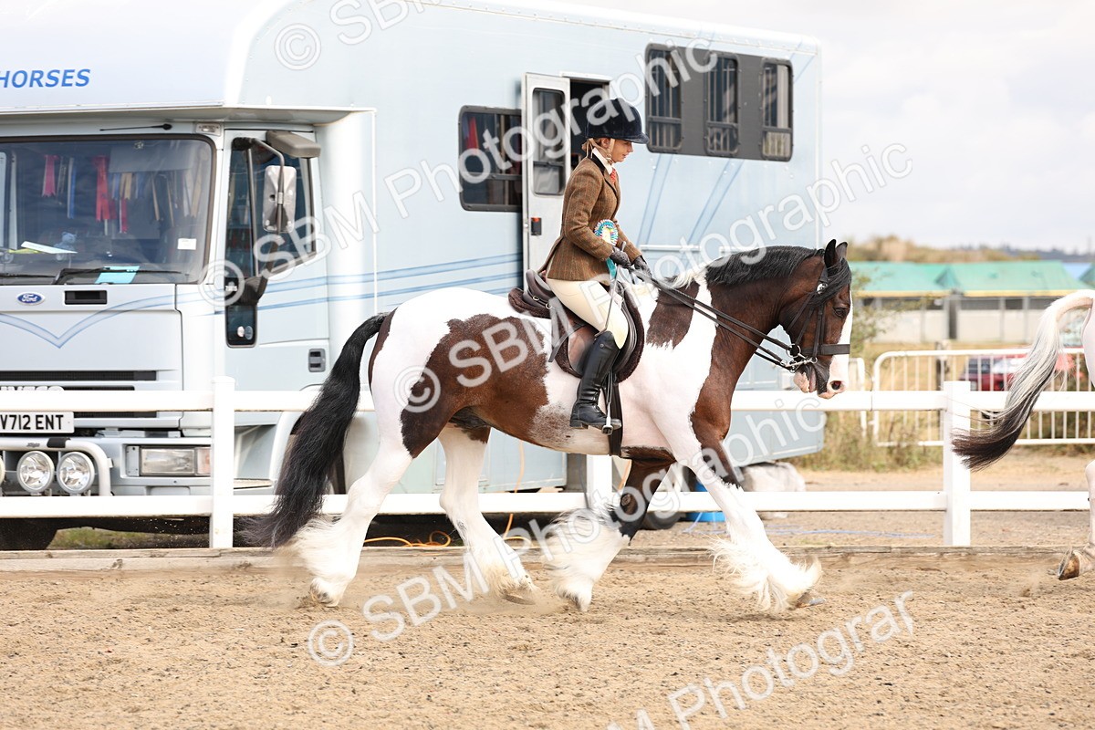 SBM_04318 - Class 54 - Riding Club Horse/Pony