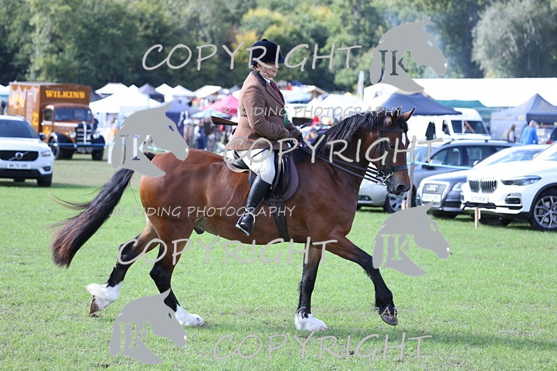 APP_3742 - Class 12 M&M ridden