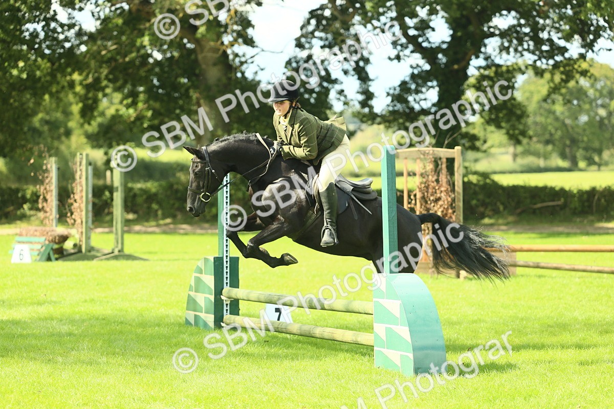 SBM_42074 - S29 - Novice & Newcomers Working Hunter Pony