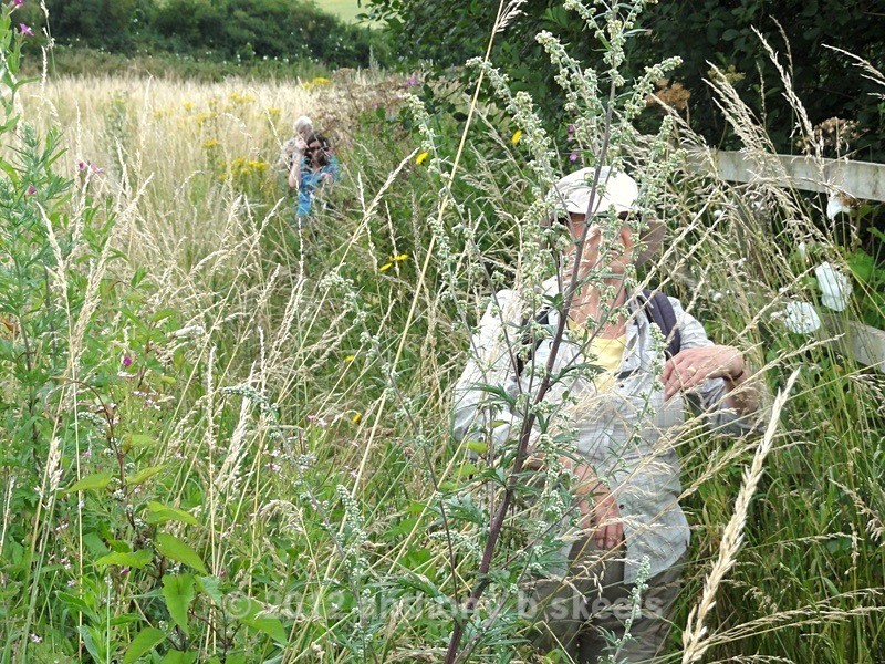 044  Is  this really the Wakefield  Way - SAINT PAULINUS PILGRIMAGE TRAIL