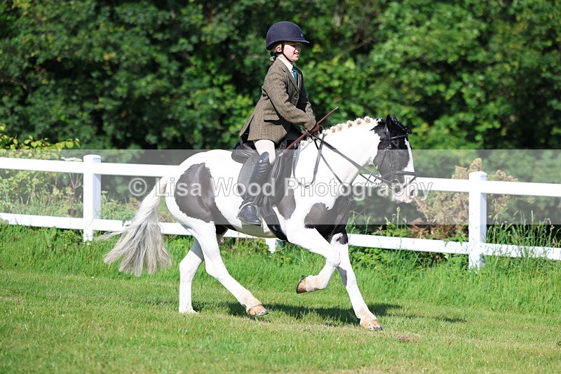 3E7A5981 - Class 27: Novice Working Hunter Pony