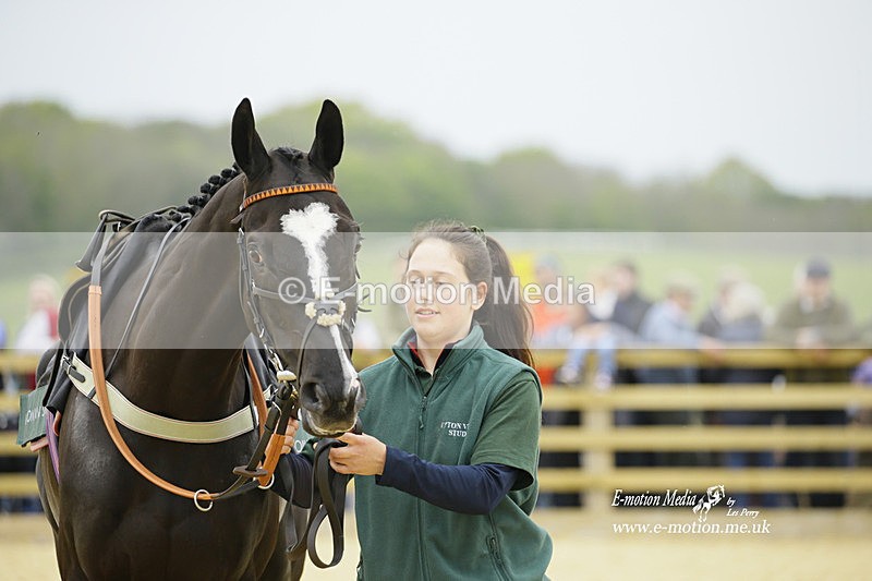 PtP 020522 168 - Mollington Races Point-to-Point 02/05/22