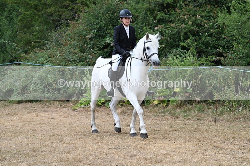 WJ7_0395 - Class 6 Ridden Mountain and Moorland