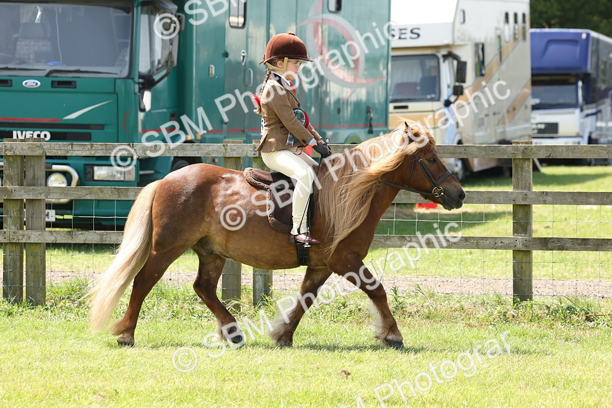 SBM_05371 - Class 24-25 - Mountain & Moorland In Hand Lead Rein and First Ridden