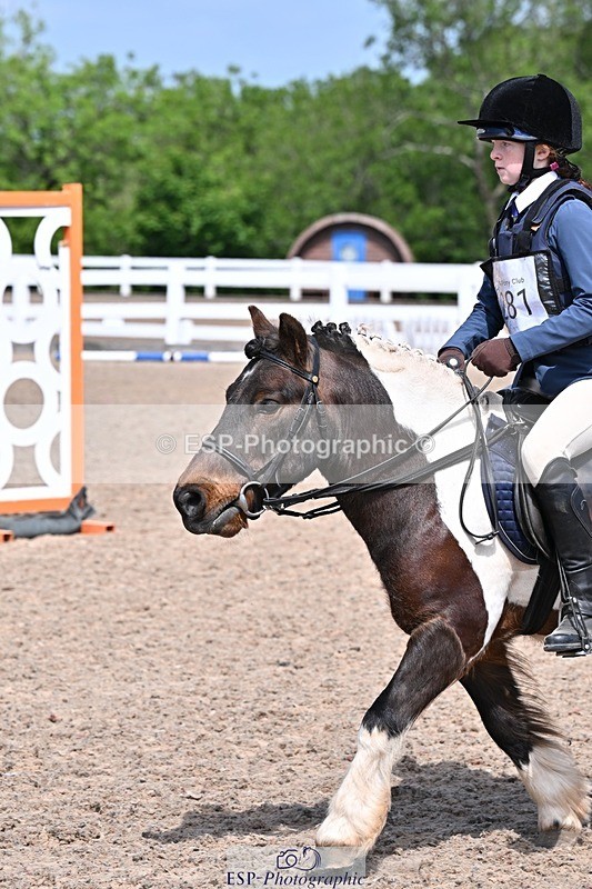 250517-114334-00970 - 40cm