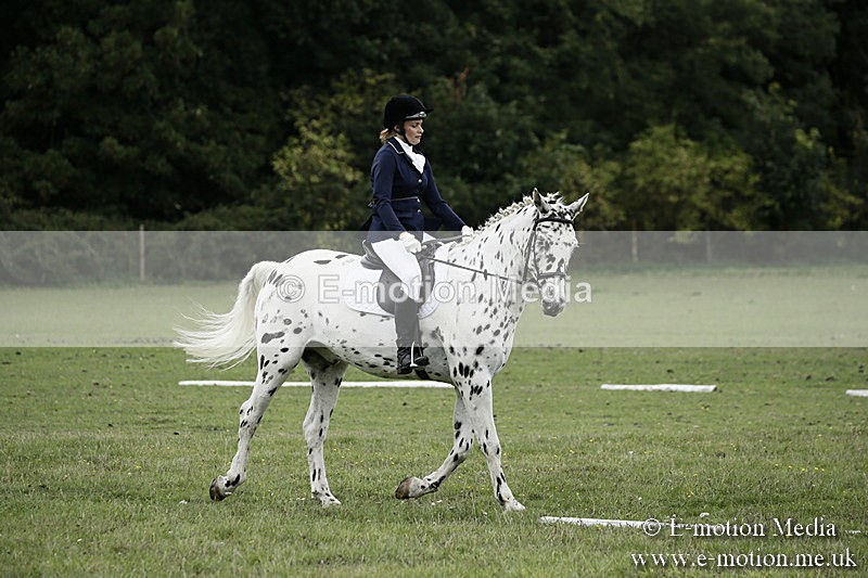 BVR080918 238 - BVRC Novice Dressage & CR 08/09/18