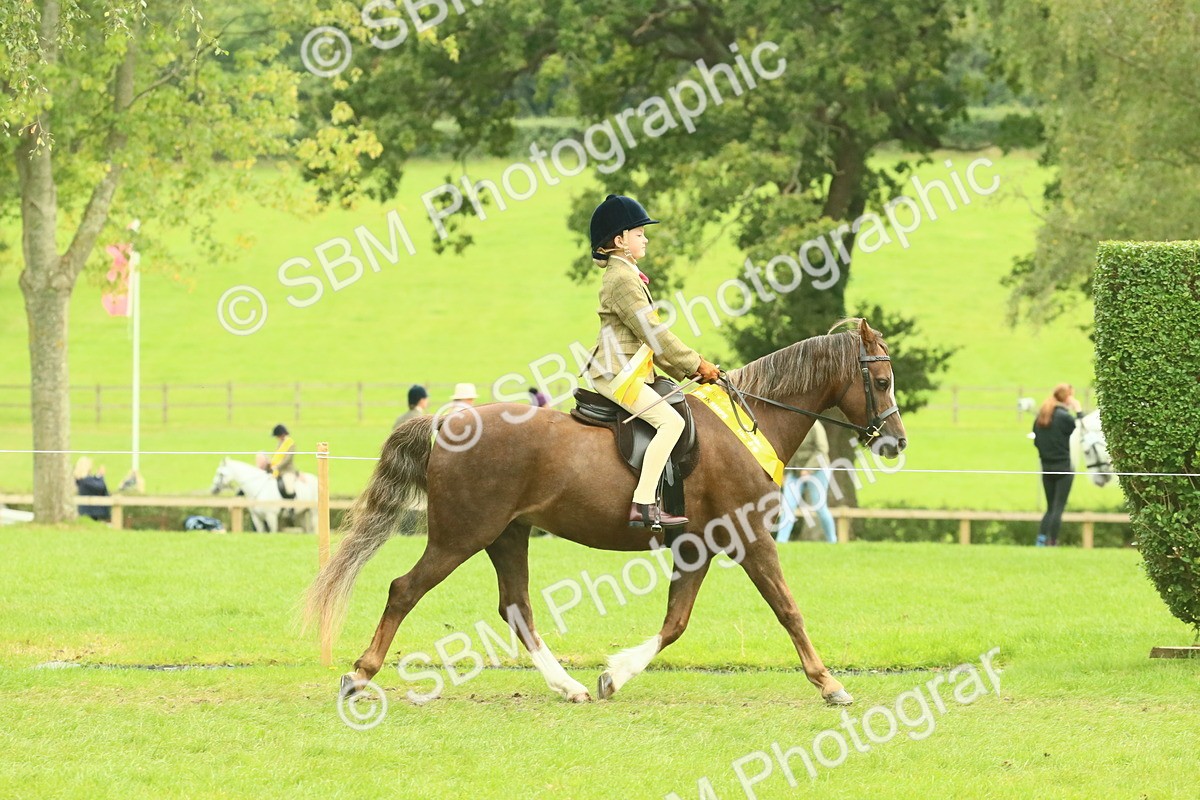 SBM_74981 - Ridden Pony Supreme Championship