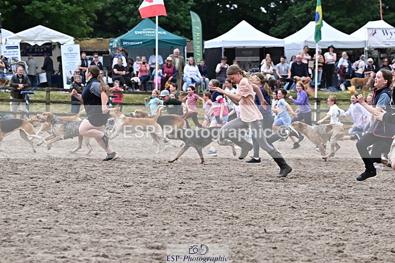 250524A-152736-12765 - East Devon Hounds