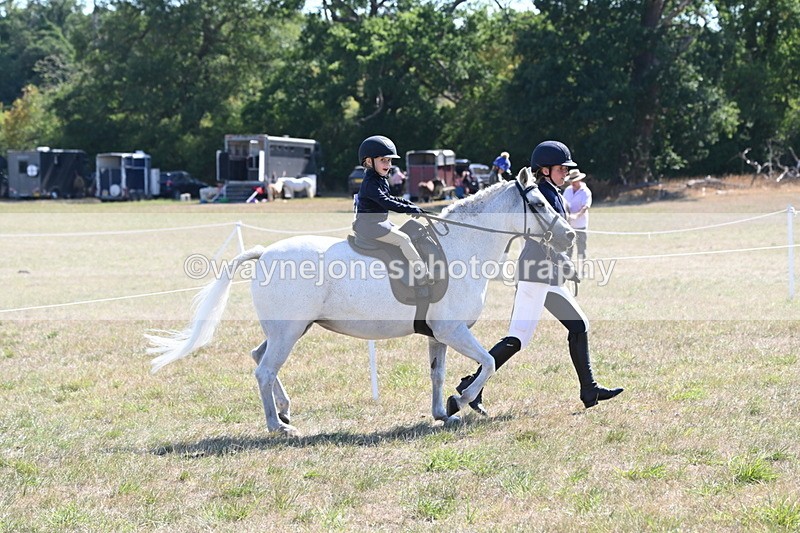 WJ6_7773 - Class 36 Lead Rein