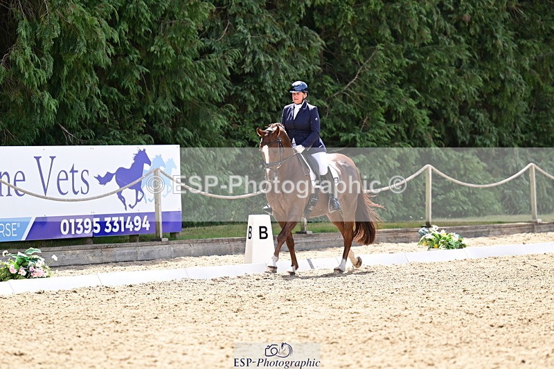 260802A-120414-06072 - Novice Silver break- end