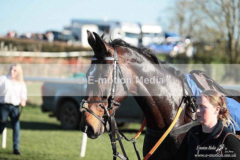 PtP 210326 1158 - VWH Cirencester Races 21/03/26