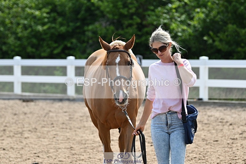 240717A-161256-03355 - Trot Up 4pm to 5pm