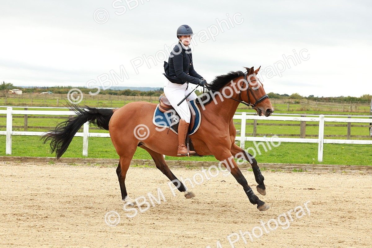 1I0A6858 - Class 2 - Senior British Novice