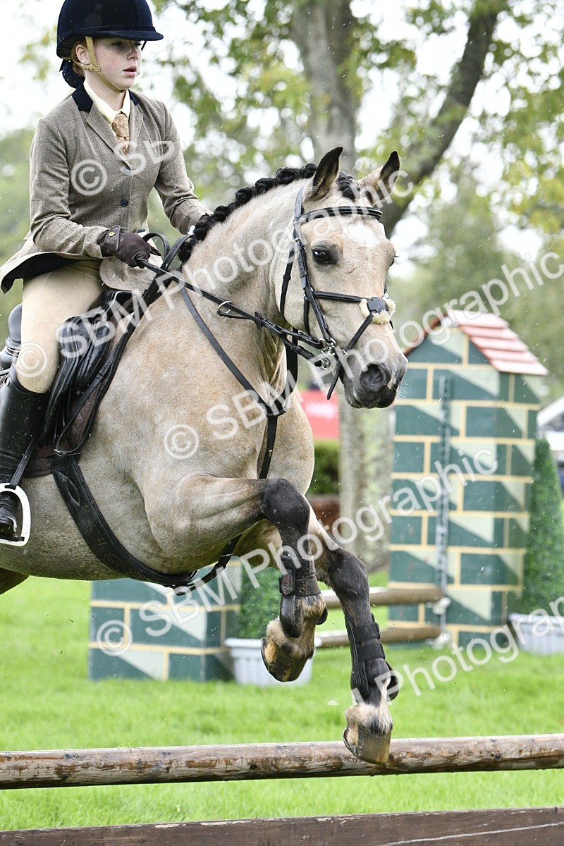 SBM_41442 - S32 - Mountain & Moorland Working Hunter Pony