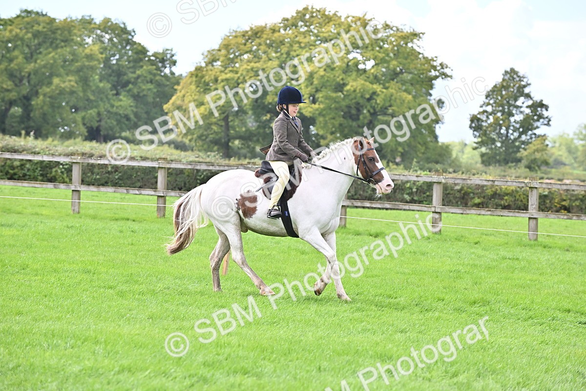 SBM_44477 - S13 - Pony Club Pony