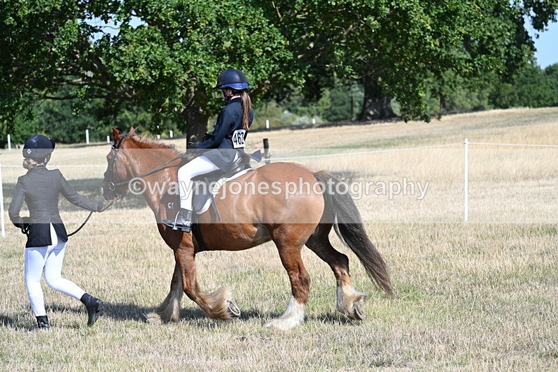 WJ7_3029 - Class 8 Ridden Tack & Turnout