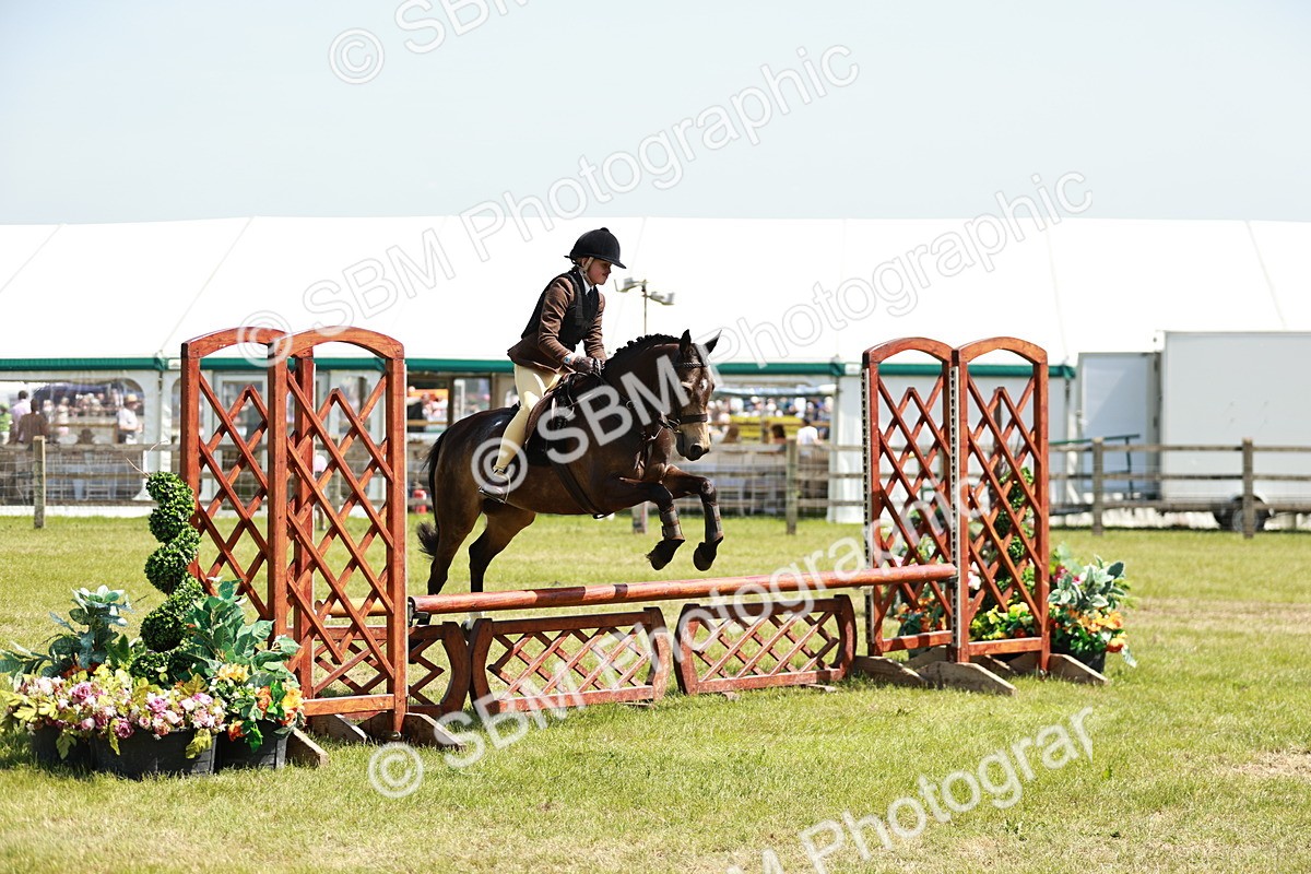 SBM_15451 - Class 108-109 - BSPS LIHS Open Gradle & Nursery Stakes