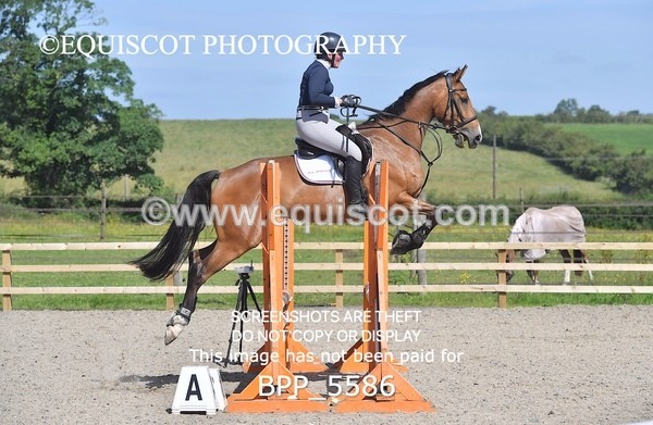 BPP_5586 - CLASS 2 Club/ Unaffiliated 80cms Open