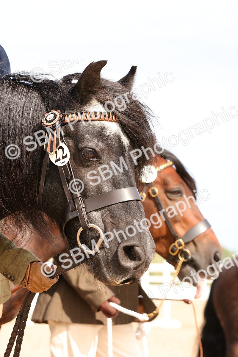 SBM_18037 - Class 707 - IH Groom - Helpers Glass