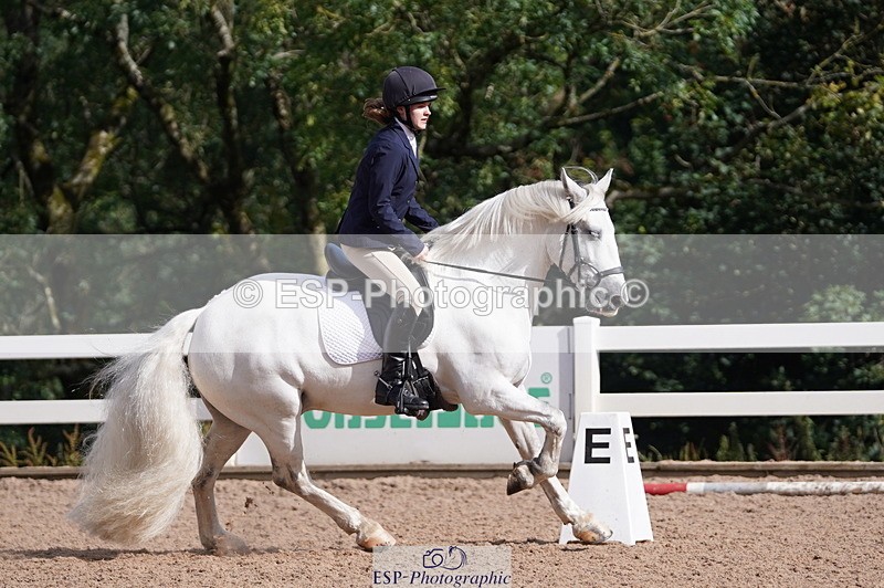 240809A-093340-00278 - Dressage Competition
