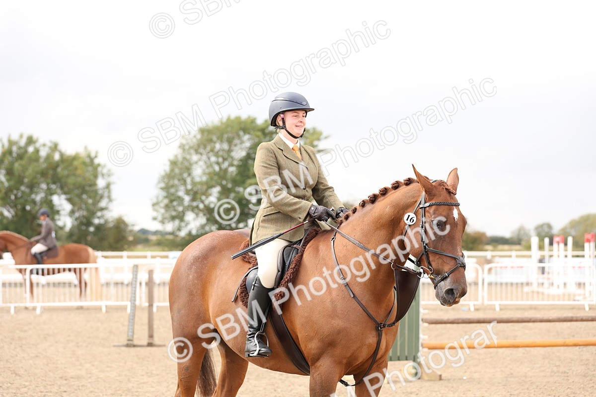 SBM_07467 - Class 59a -  Style & Performance - 80cm (15-19)