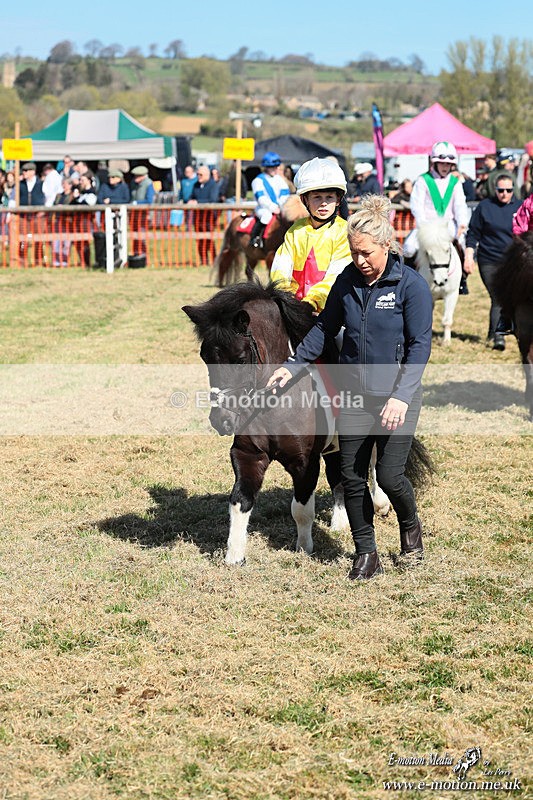 Shet 060426 114 - Shetland Pony Racing Paxford Races Easter Mon 06/04/26
