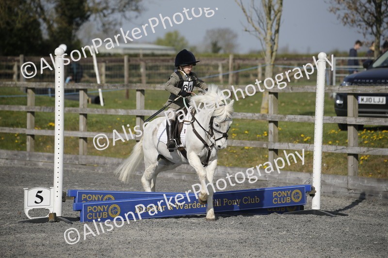 20250412-0202 - Show Jumping