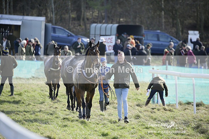 PtP 260222 416 - Kingston Blount Racing Club Point-to-Point 26/02/22