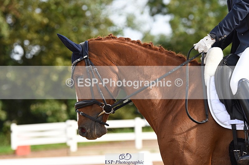 230912A-100024-00206 - Cls 2 Prelim 19