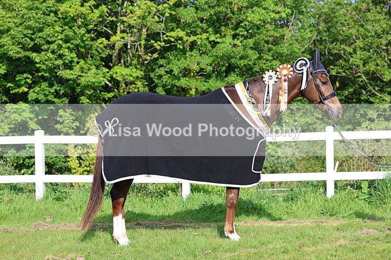 3E7A0283 - Verity Perry