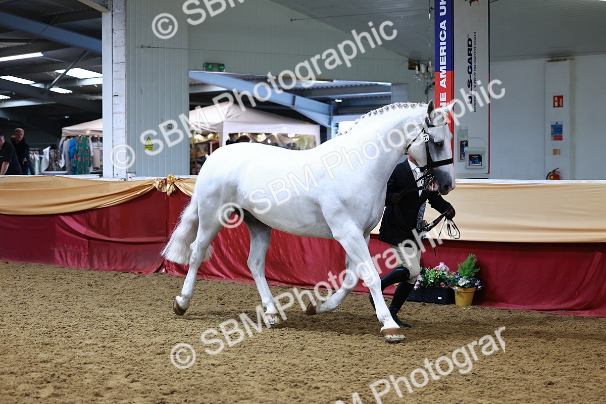 SBM_23936 - Grand Supreme Final - Overall Champ