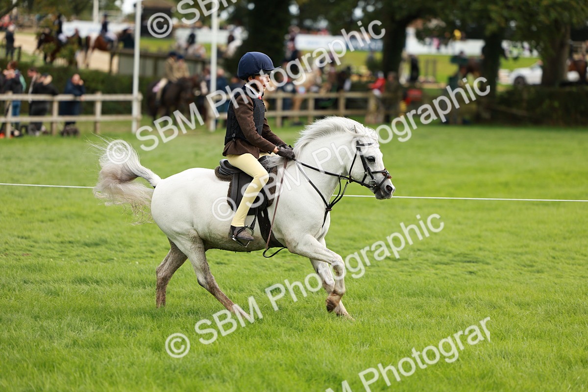 SBM_41766 - S32 - Mountain & Moorland Working Hunter Pony