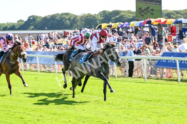 110725-Race 5-Mahras Love-4465 - Race 5 4.32pm Laura Barry Memorial Handicap