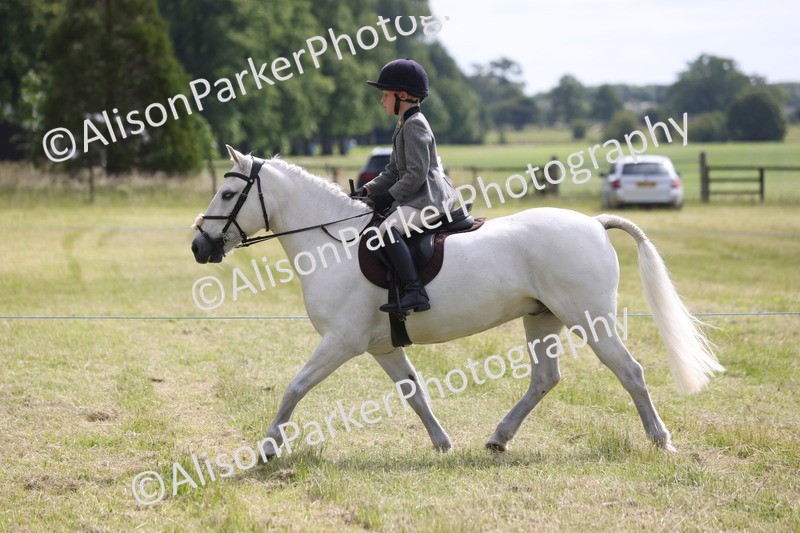 20260614-0559 - Class 20 - Beginners Working Hunter Pony