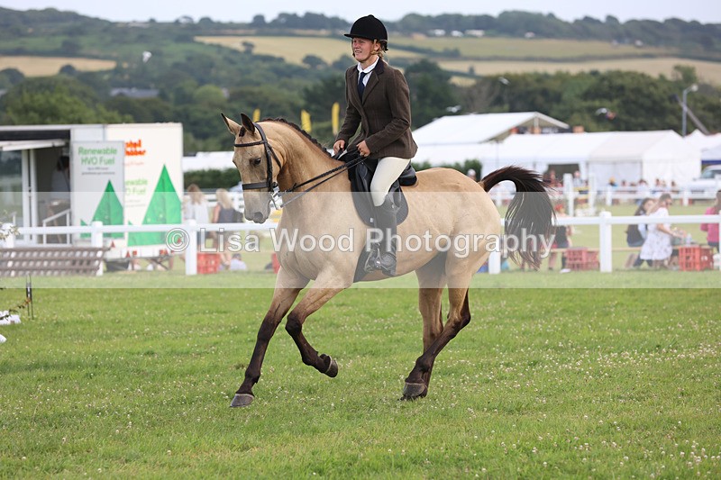 JPP_4364 - Class 26: Working Hunter 1m