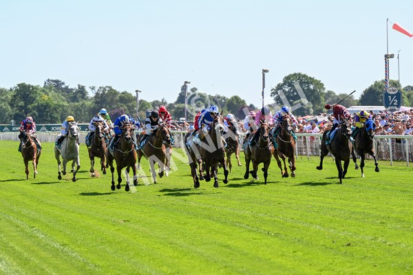 120725-Race 3-Fox Legacy-0211 - Race 3 3.10pm John Smith's Cup Handicap
