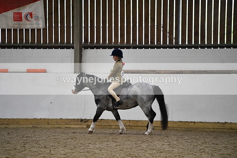 WJ5_6893 - Class 10 Childs Pony