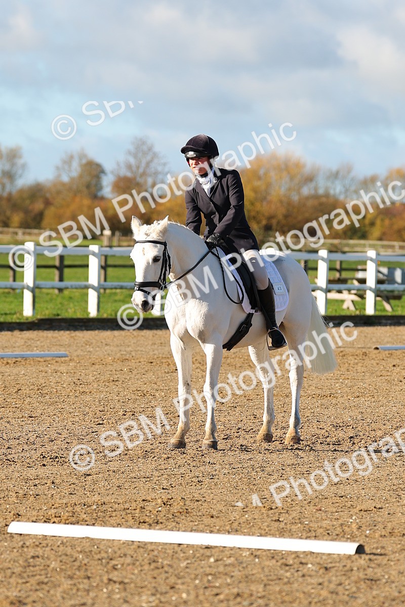 SBM_000309 - Prelim 5