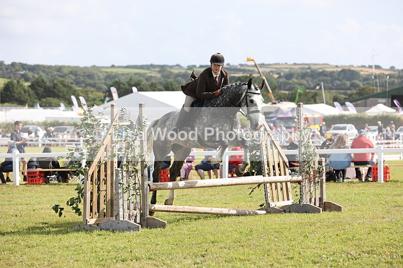 JPP_2678 - Class 20: Working Hunter 70cm